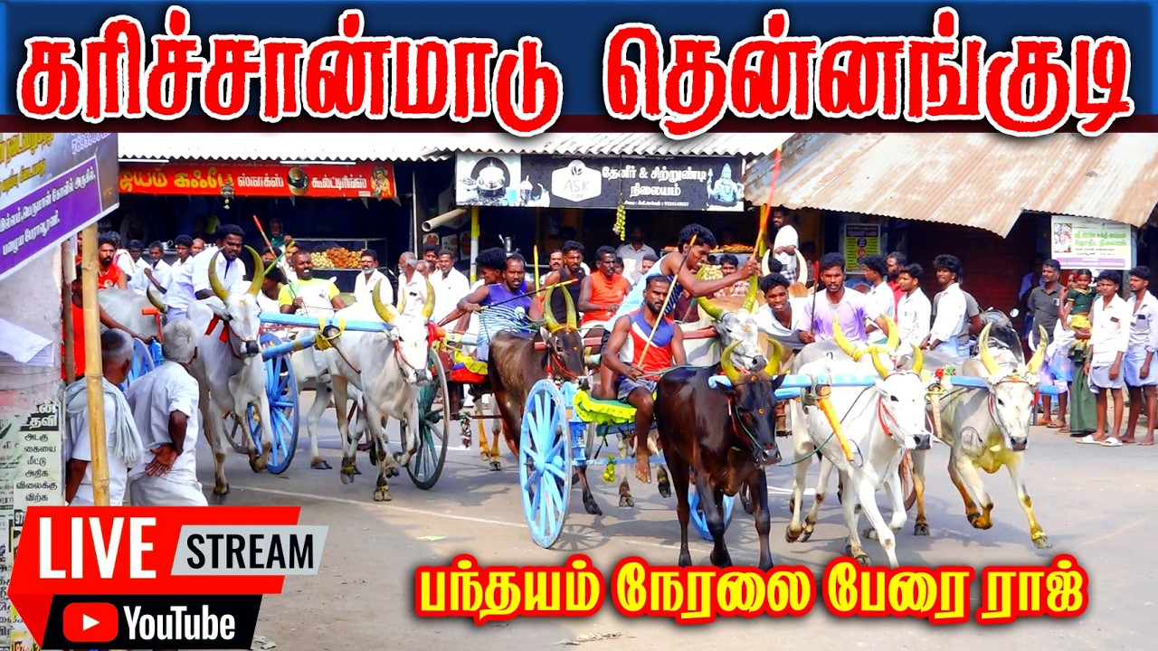 🛑LIVE தென்னங்குடி கரிச்சான்மாடு நேரலை பந்தயம்