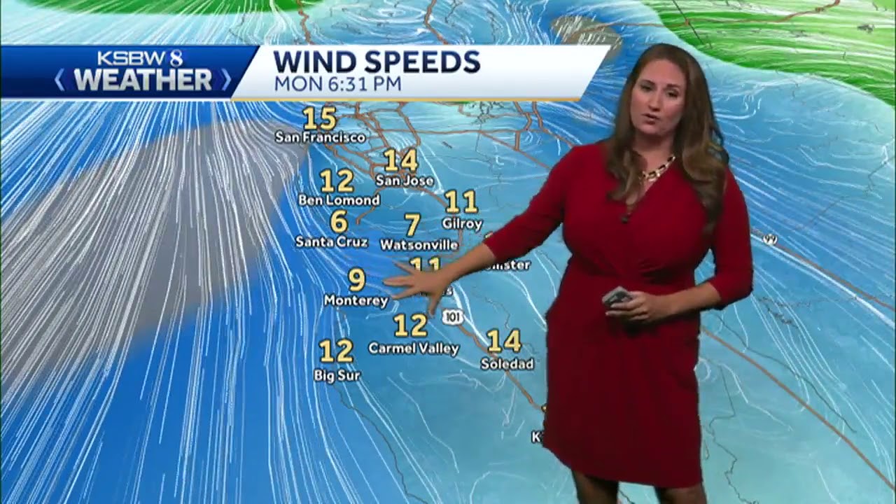 AM low clouds and mild temperatures - YouTube