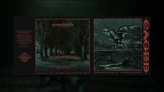 Caged - Brave and Free