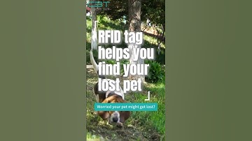 RFID tag helps you find your lost pet. #rfid #tag #pets #smart