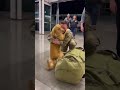 Dog recognizes owner that comes back from military.