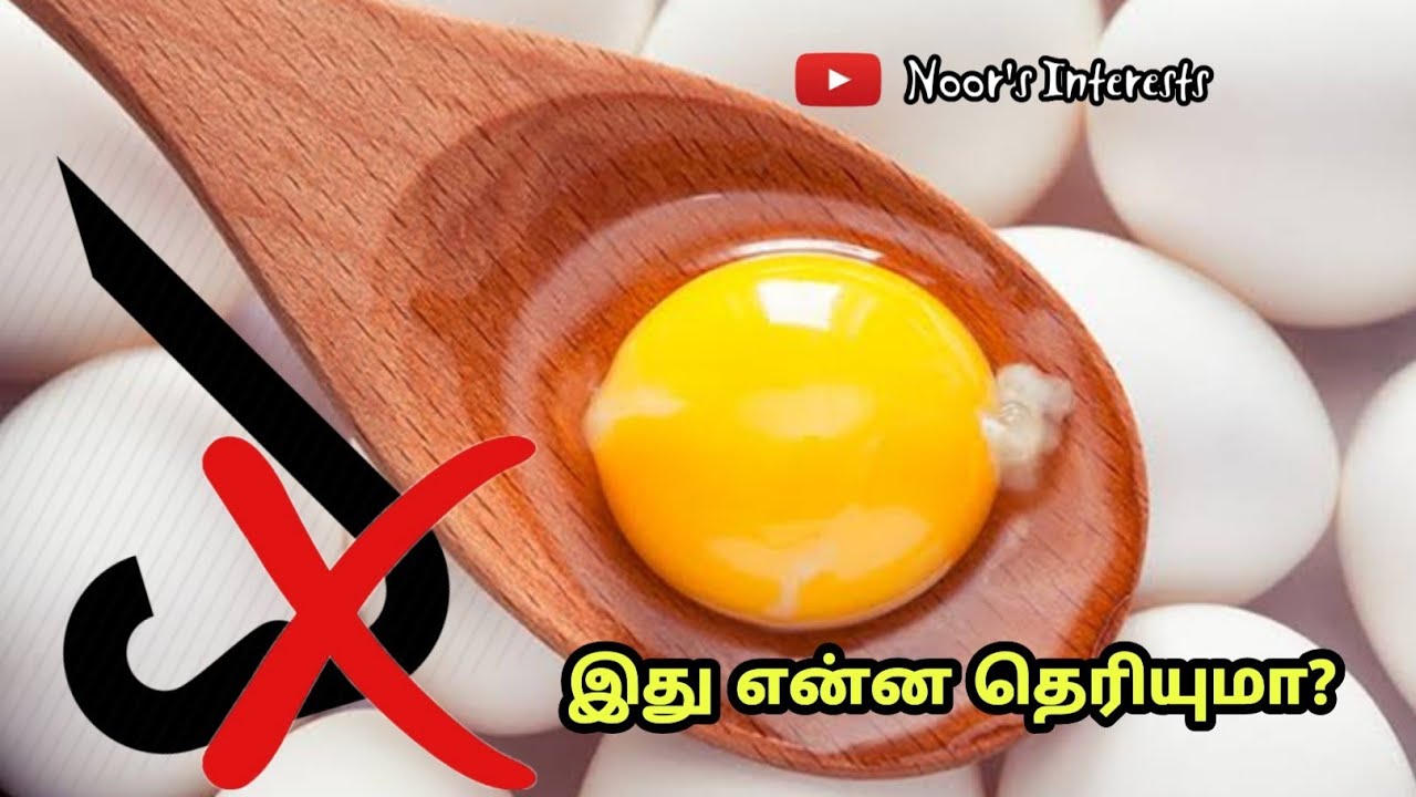 How to remove egg smell? Tips for all egg recipes Kitchen Hack No