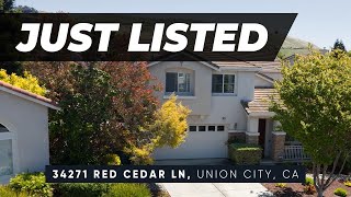 34271 Red Cedar Lane | The Dream Home with the Dream Lot!