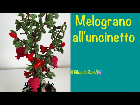 Piantine Grasse Mignon All Uncinetto Succulent Plants Youtube