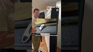 Signs of Bed Bugs on a Mattress: What a Pest Pro Looks For
