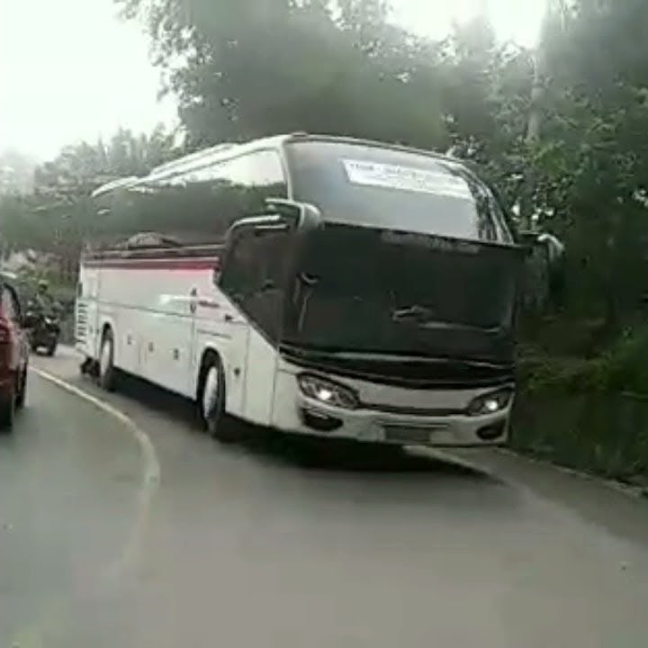 Story WA Bus Primajasa Super Executive Tasik Jakarta