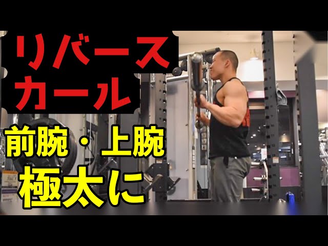 リバースカール】前腕・上腕を急激に太くする効果的なやり方を