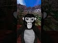 Monkey #music #countrymusic #entertainment #monkey #gorillatag #memes #funny #monke #vr #summer