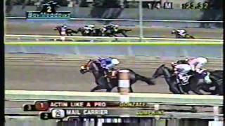 Old Friends (the horse) wins at Bay Meadows