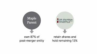 North Miami Beach General Employees’ Retirement Plan v. Dr Pepper Snapple Group | Law Case Explained