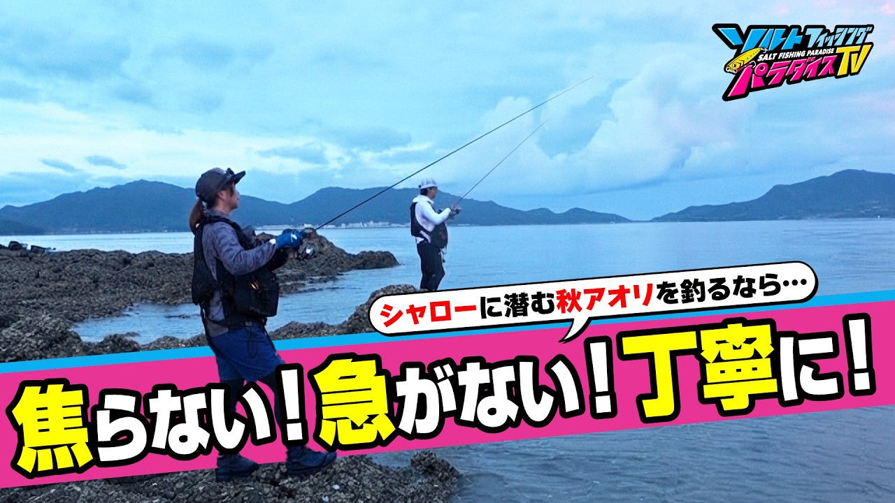 Targeting autumn squid from before dawn. Will it go according to