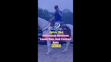 Difference Between Loose Rein And Contact Rein! Part 3! | The Horse Guru-Michael Gascon
