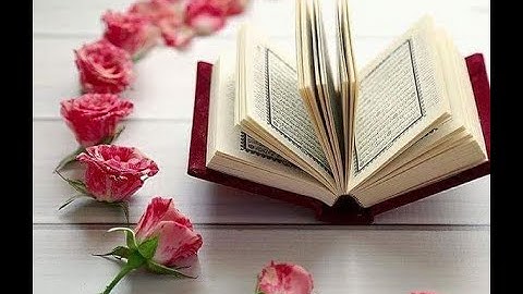 💕👍👍 القرآن الكريم 🌹ﷺ 10 ساعات من الذكر الحكيم 🌹💕 بدون حقوق ملكية يسمح بإعادة نشره 🌹🌹