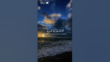 ما تيسر من سورة فصلت 🤍✨ #القرآن_الكريم #اسلام_صبحي #راحه_نفسيه