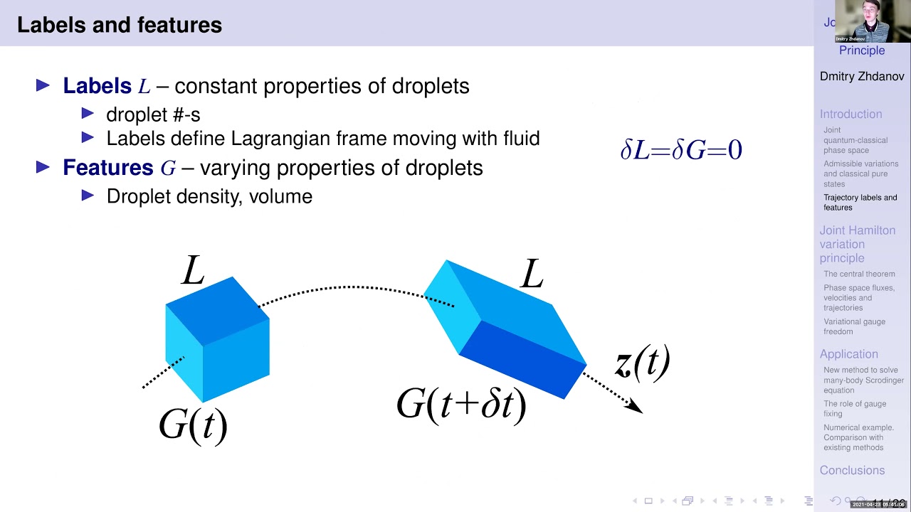 Joint Quantum Classical Hamilton Variation Principle in the Phase Space by Dmitry Zhdanov