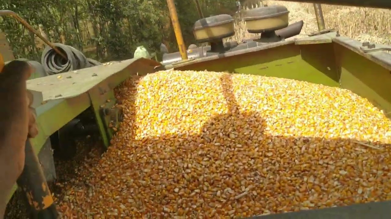 Makka nikalne ki Machine , YouTube