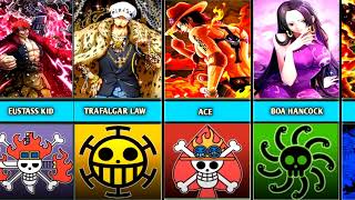 One Piece pirates and symbol