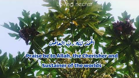 تلاوة جميلة سورة الفاتحة 🌼