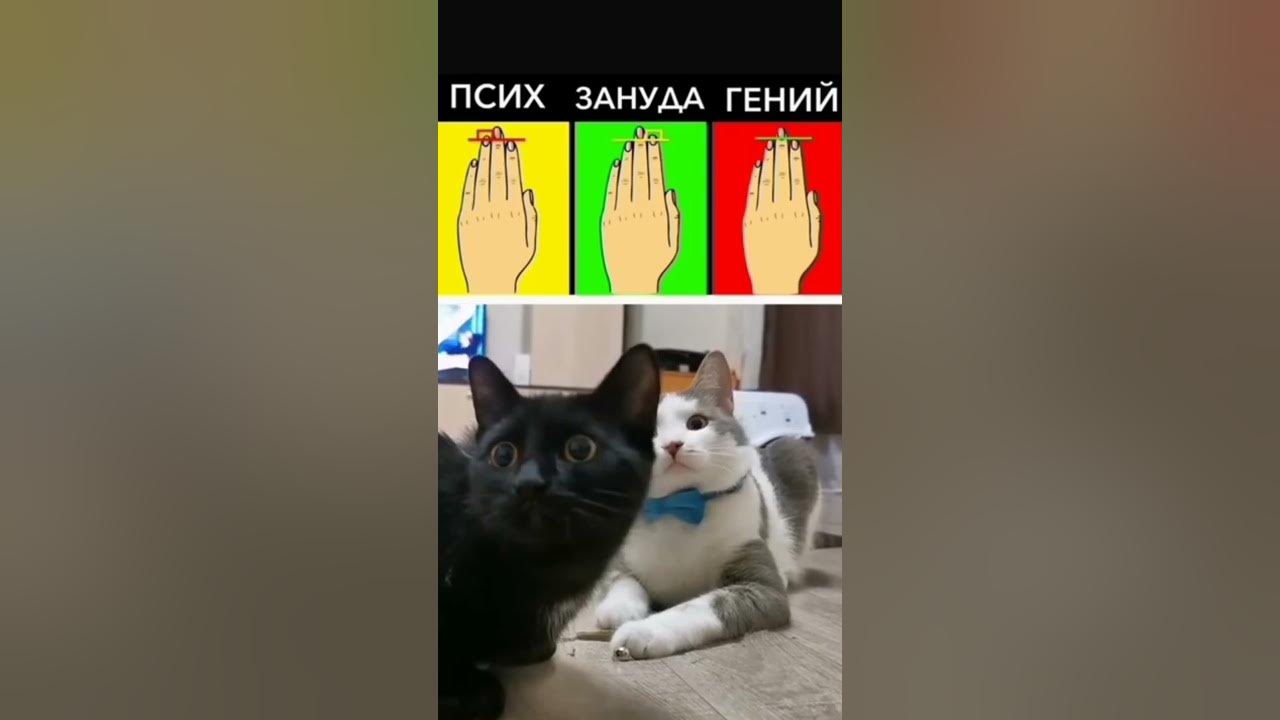 Песня че ты психуешь