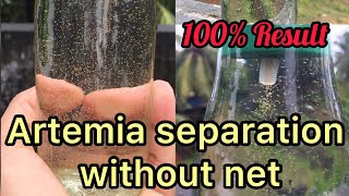 Artemia separation without net | Zero expense | 100% Result | Cats n Fish