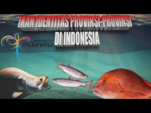 KNOWING ANIMAL IDENTITY 34 PROVINCE OF FISH TYPES AND THEIR BRIEF PROFILE.