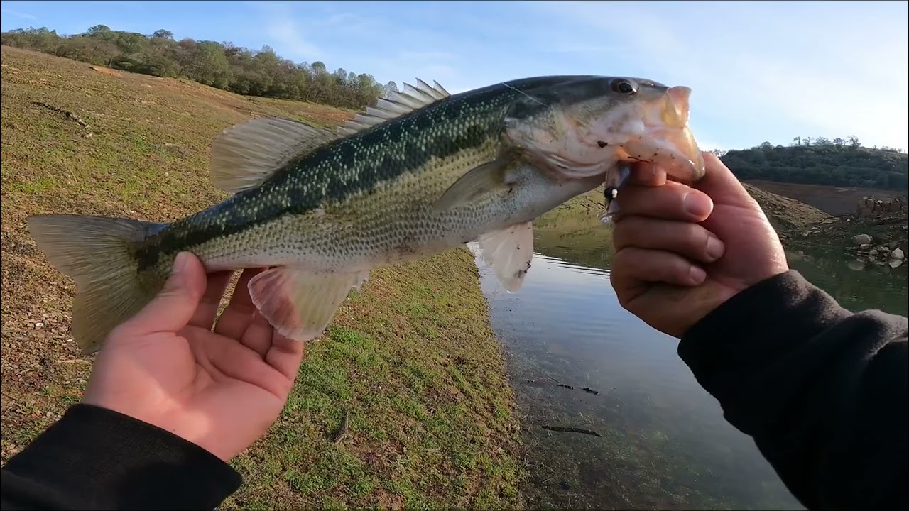 Ultra Light Bass Fishing