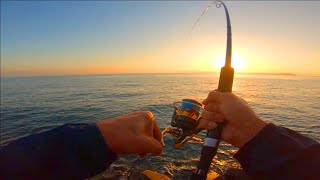 トッププラグ「ラピードF130」で青物を狙って投げていたら・・・