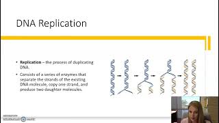 Microbial Genetics part 2