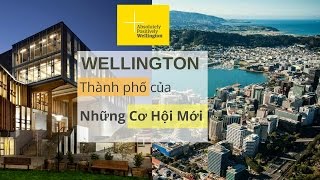 Du Học New Zealand Wellington Thành Phố Du Học Cơ Hội Rộng Mở