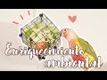 Juguetes para LOROS (VOL II) | Enriquecimiento Ambiental | NINFAS, AGAPORNIS, PYRRHURAS, PERIQUITOS