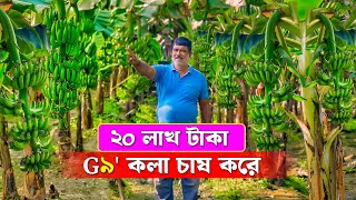 g9 কলা চাষ করে আয় ২০ লাখ টাকা | G9 Banana | কলা চাষ | Krish 9 কলা | Tissue culture banana