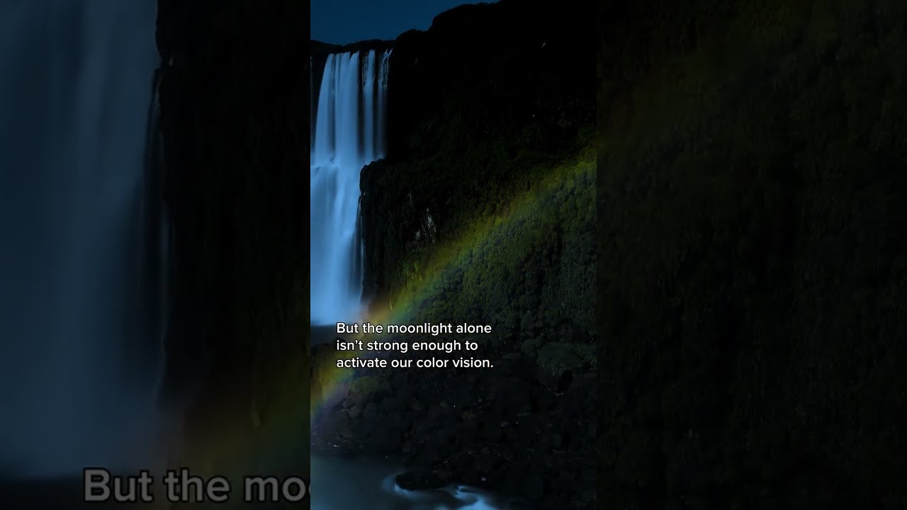 Discover The Magic At End Of Moonbows Moon