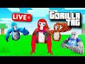Gtag live With you right Now minigames and more!!!