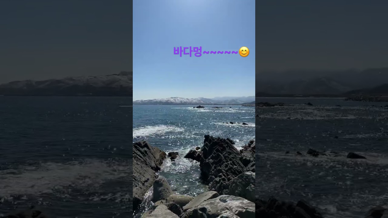 금진항 가는 해변도로에서 찰깍! 바다멍~~ 넘이쁘네요 #shorts 정동진 에서 심곡항 지나 금곡항 코스 👍