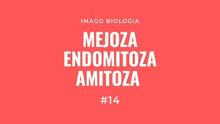 Mejoza, amitoza, endomitoza