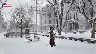 Buffalo NY Downtown ❄️ Winter Snow Walk after Winter Storm Lake Effect Snowfall