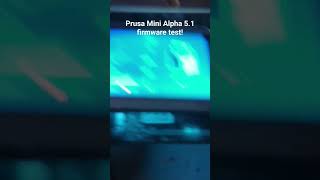 The Prusa Mini is HOW FAST!? (Input Shaping Alpha firmware test)