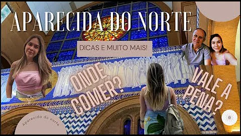 O que fazer com crianças em Aparecida do Norte?