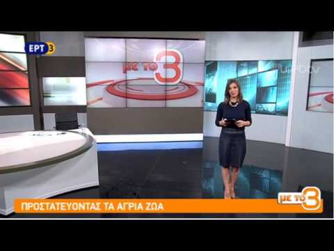Στην ΕΡΤ3 η Ανταλένα Τσατσοπούλου για τη 