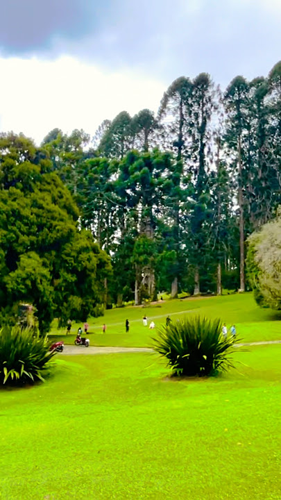 KEBUN RAYA CIBODAS PUNCAK 2025‼️WISATA PUNCAK BOGOR @HaziqakhansaChannel