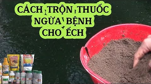 Cách trộn thuốc cho ếch, nòng nọc ếch ngừa bệnh gan - thận - mũ | Thuốc nuôi ếch