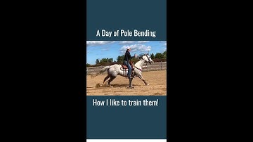 New Pole Bending Horse! Easy technique for beginners