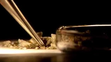 Nebra Star Disc Fingerprint | Horizon | BBC Studios