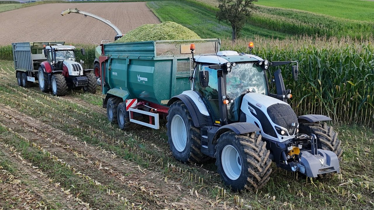Maisernte 2025 🌽 startet in Niederösterreich mit 2 Häckselketten | LU Deutschbauer