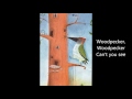 Woodpecker by brenda williams anthology of poems year 4