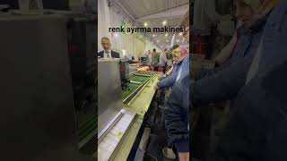 Zeytin Renk Ayırma Makinesi