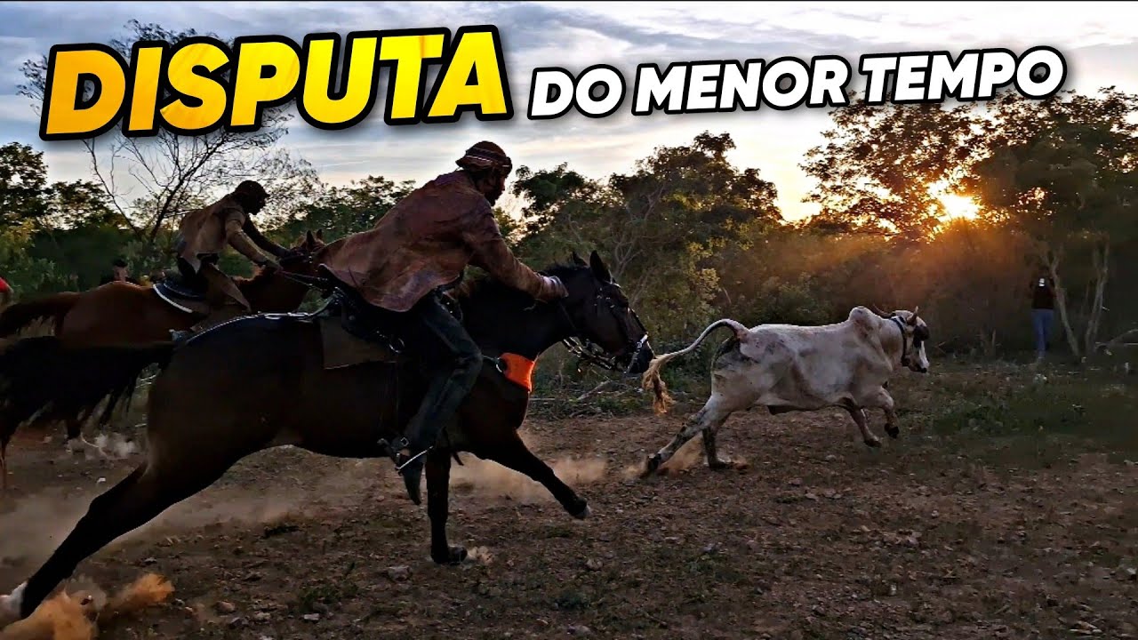 DISPUTA PÉ DE PORTEIRA FAZENDA MELOSA, VALENDO UMA MOTO