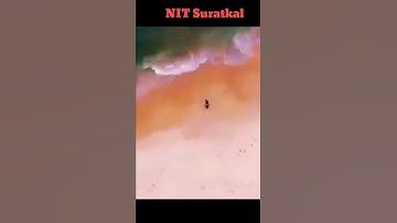 NIT Suratkal Stetus Video || Best College For NIMCET Aspirants 😍 #shorts #nimcetexam