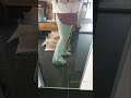 Sidefeel Women's Flare Jeans: High Waisted, Stretchy, Bell Bottom Bootcut - Try On &amp; Review