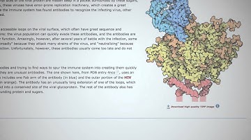 Learn about HIV from the RCSB Protein Data Bank
